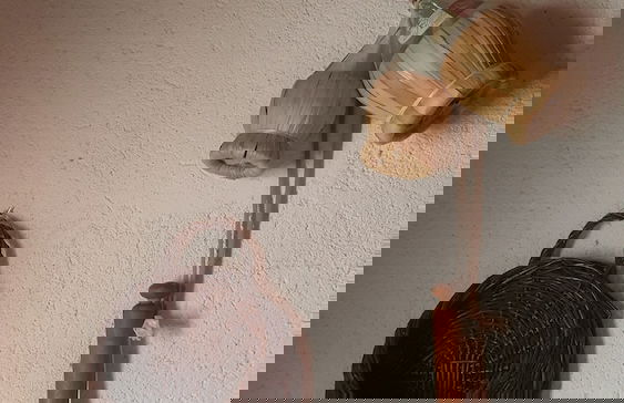 Casa Lisetta - Foto 10