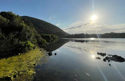 Marismas de Cantabria cerca de Laredo - Foto 41