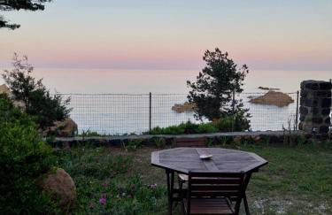 lamarzellina - Foto 3