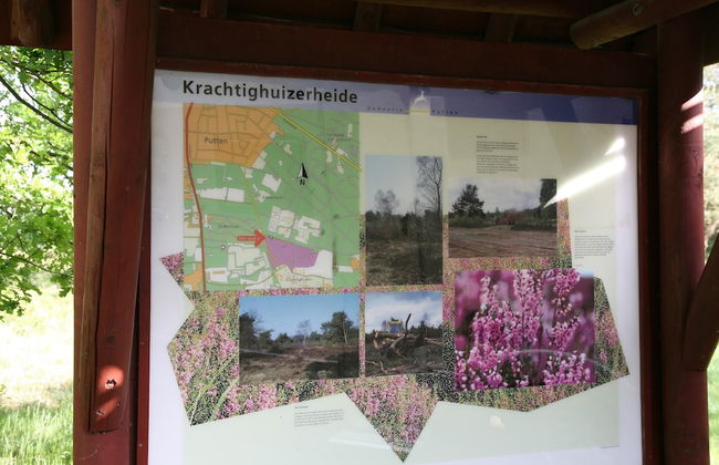 Holiday Home in the Veluwe in Nature - Foto 30