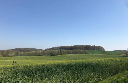 Ferienhaus im Sandkamp - Foto 28