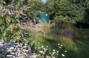 Woodland dome - Foto 16