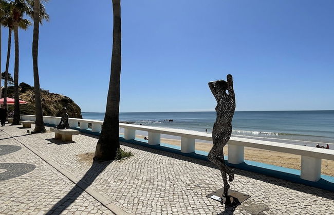 Azinheira CIP - Photo 46