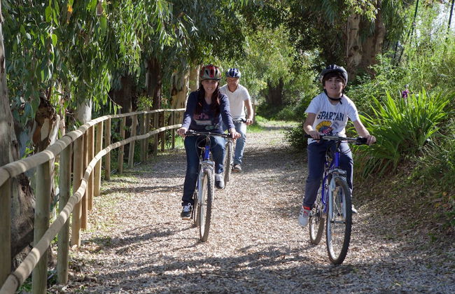 Agriturismo Al Poggetto - Photo 32