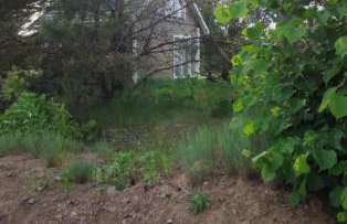 Zielony domek nad Marychą w Budwieć - Foto 15