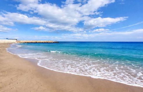 Marisol Molina - Foto 20