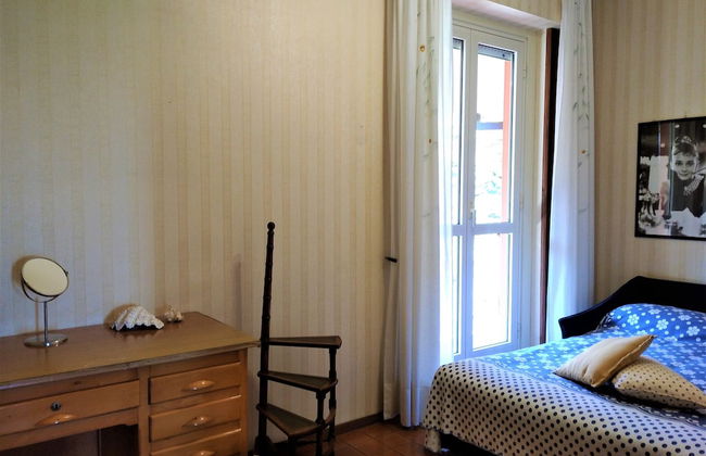 Pettirosso - Photo 3