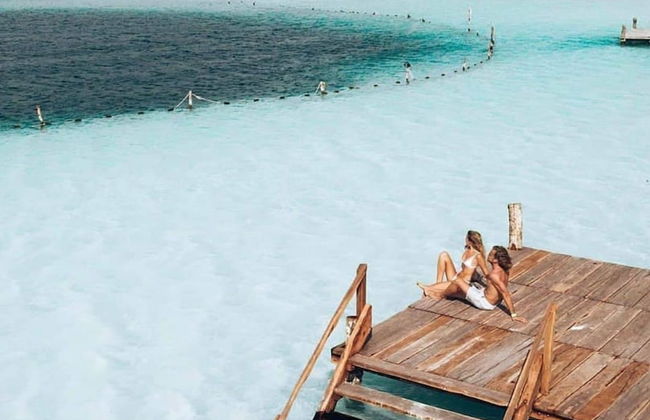 Departament & Pool and Parking Ariany - Foto 31