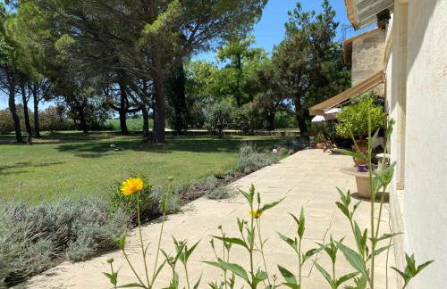 Mas Antonine Maison - Foto 30