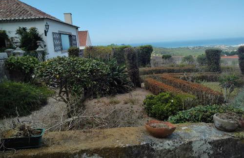 Nice Quinta in the florest of sintra - Photo 8