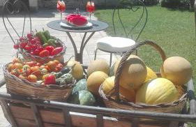 Masseria Sucéa - Foto 80