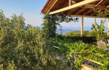 Mani Hill House - Foto 25