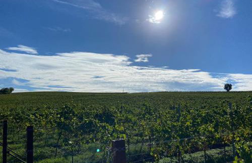 Toms Ferienhütte - Foto 7