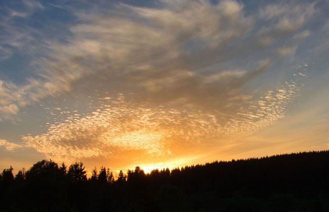 Doppelhaushaelfte in Hasselfelde - Foto 20