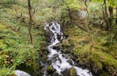 Family-Friendly Woodland Caravan Pool & Bar - Foto 17