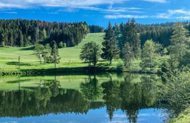 Ferienwohnung "Am Skilift" - Foto 28