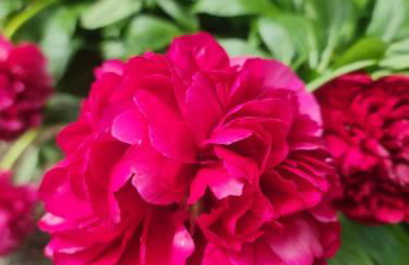 Mayfield Cottage - Foto 39