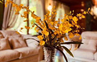 Mansão Bardo - Foto 7