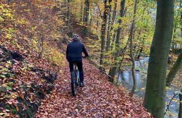 Ferienhaus Kleine Auszeit - Foto 46