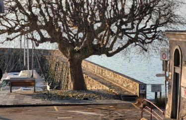 San Martino Lake View Apartment - Foto 14