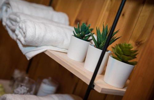 ΛΩΤΟΣ - Photo 39