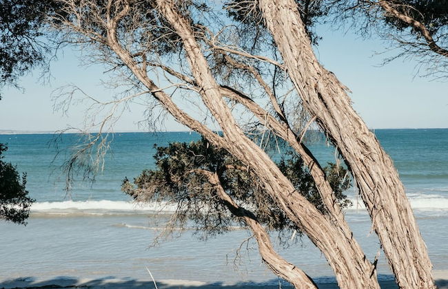 Sails - Elegant, spacious beach villa - Foto 20