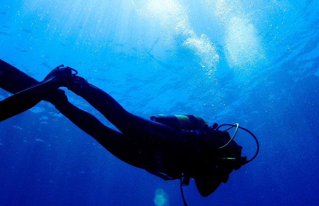 Corso PADI Scuba Diver a Los Abrigos - Foto 1