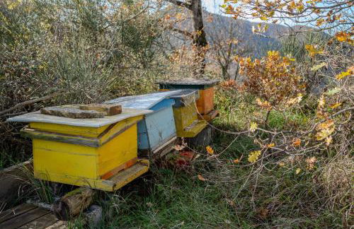 Il Capriccio del Papa - Foto 88