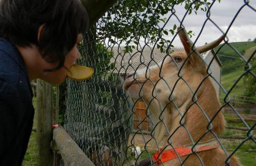 Azienda Agrituristica Colle San Giorgio - Foto 53