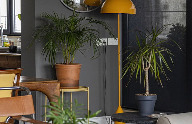 GALATA M84 - Foto 34