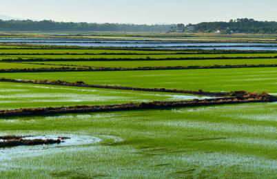 Comporta Sandy Villa, By TimeCooler - Foto 76