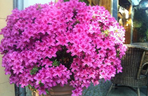 ackselhaus & blue Home - Foto 24