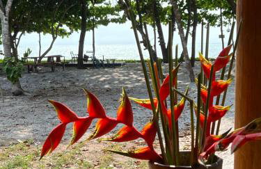 Cumuru pé na areia - Photo 21