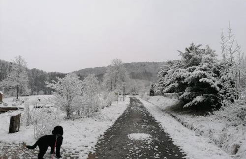 Ferienwohnungen an der Hufeland-Therme - Foto 40