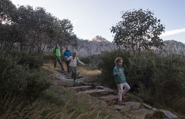 Northbank House - Photo 29