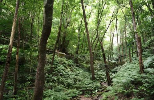 María José Rural House - Foto 41