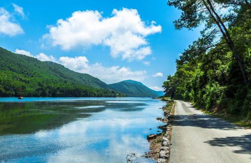 Divina House 2BR 2BA beach access - Photo 8