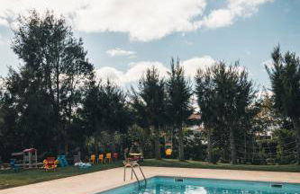 Vale Pisco - Photo 128