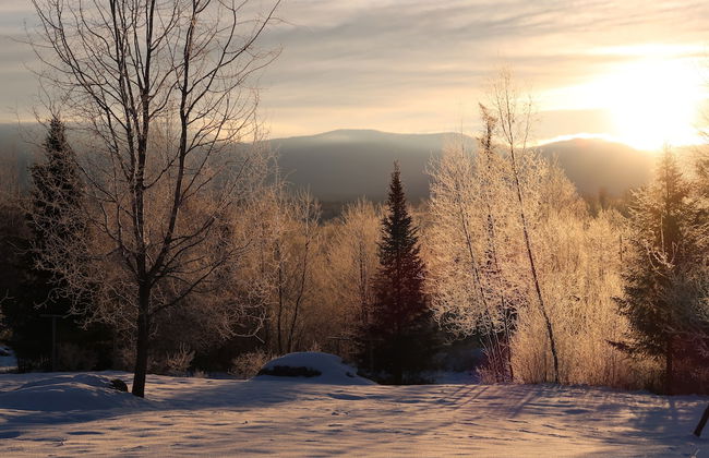 Robert Frost Mountain Cabins - Foto 63