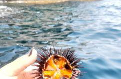 Apartment Trezza - Foto 16