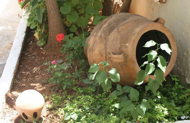 Eliza Hotel - Photo 54