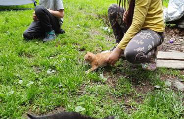 Osada Jelonki Wielka Puszcza - Foto 78