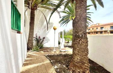 Kame House - Photo 12