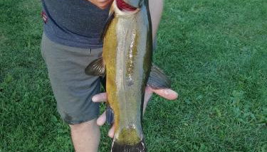 Zielona Dolina - Foto 4