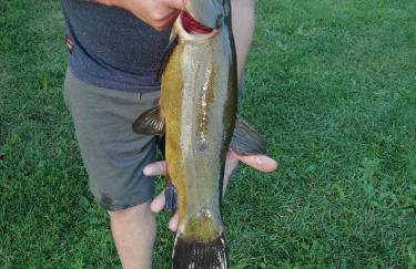 Zielona Dolina - Foto 4