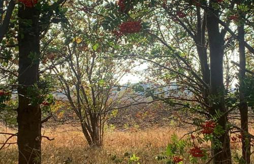 Woodlands Luxury Lake Log Cabin - Vetiver Villa - Foto 18