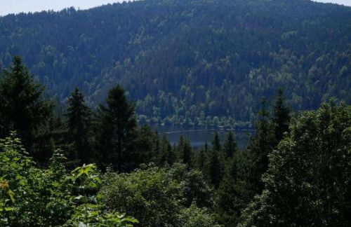 Ferienwohnung im Schwarzwald mit Garten - Foto 70
