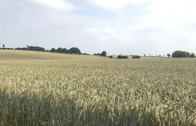 At the Provision House Modern Retreat - Photo 13