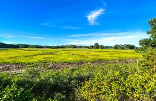 Quaint and Convenient! Cape Cod Apt Near Canal - Foto 25