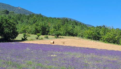Domaine de Battarel, 4 hectares en Luberon - Foto 4